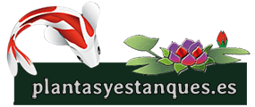 plantasyestanques